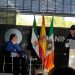 Nombramiento como Doctor Honoris Causa del Prof. Dr. D. Alberto Fernández Gutiérrez